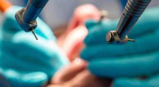 Patient contracted hepatitis B at the dentist