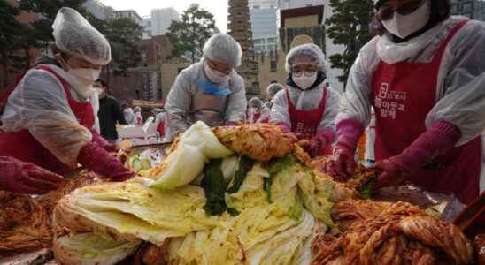 Poland and South Korea strengthen ties over fermented cabbage