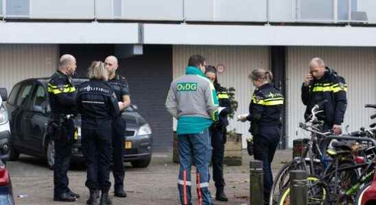 Police arrest escaped TBSer after Soest stabbing Find out to