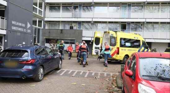 Police arrest escaped TBSer after stabbing in Soest