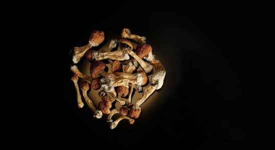 Psilocybin a hallucinogenic mushroom against depression