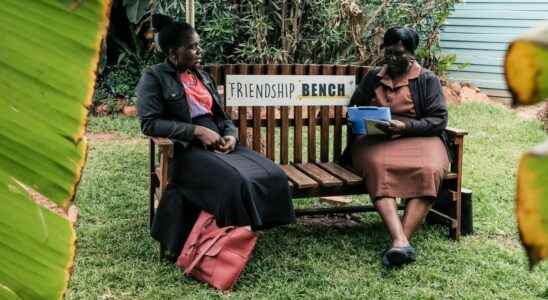 Public bench therapy a remedy from Zimbabwes grandmother at the