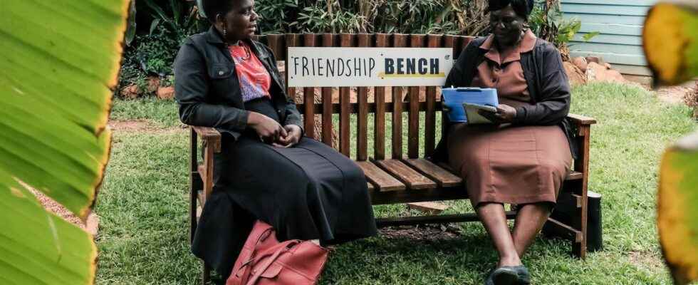 Public bench therapy a remedy from Zimbabwes grandmother at the