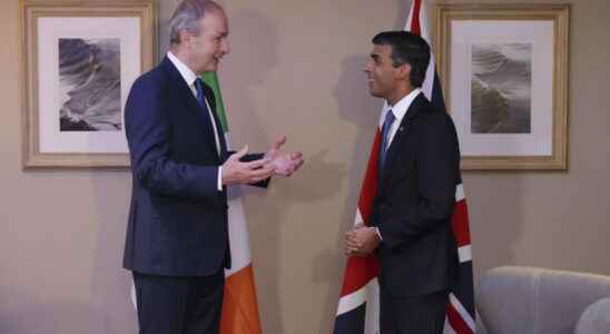 Rishi Sunak met his Irish counterpart to discuss Northern Irish