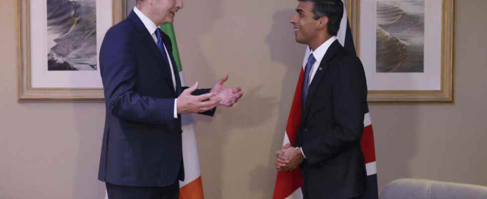 Rishi Sunak met his Irish counterpart to discuss Northern Irish