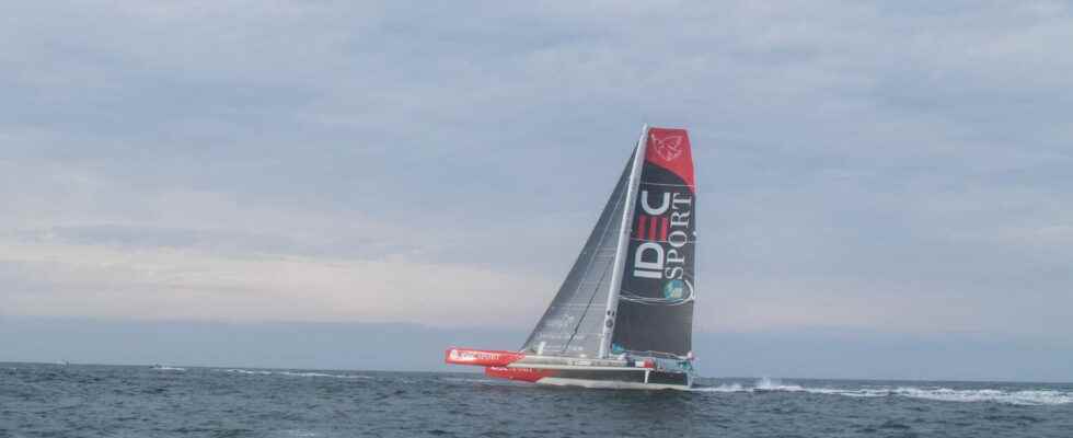Route du Rhum 2022 Guadeloupe is getting closer the ranking
