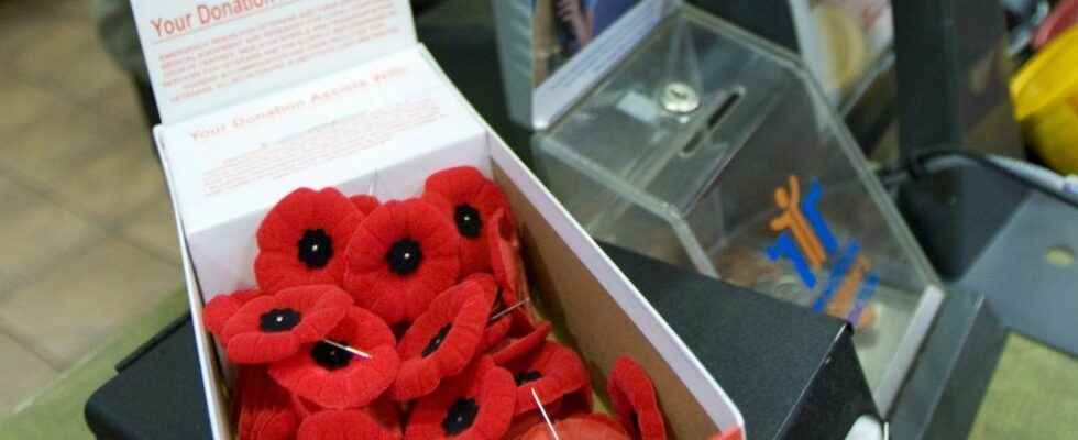Saddened Veterans advocate laments local poppy box theft