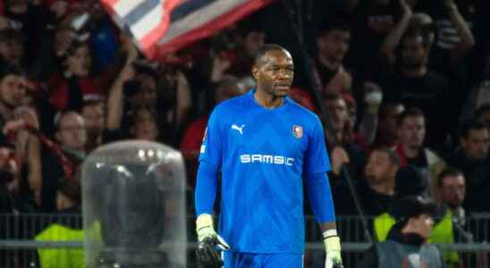 Steve Mandanda why he can play the World Cup with