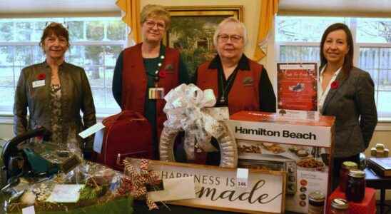 Stratford hospital volunteers hosting Christmas edition of Bids for Beds