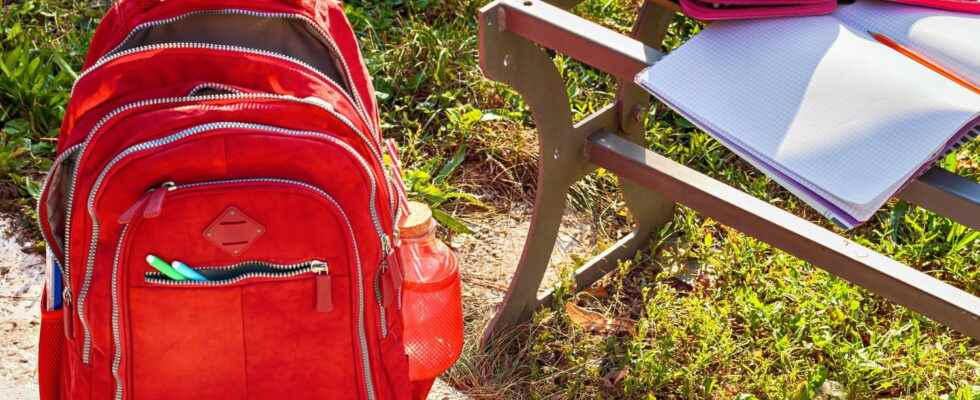 The best wheeled schoolbags for boys