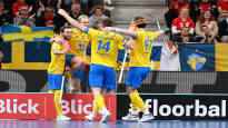 The streak was broken in a thriller Sweden defeated