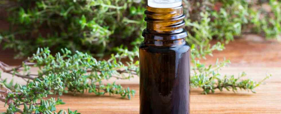 Thyme essential oil benefits colds throat use