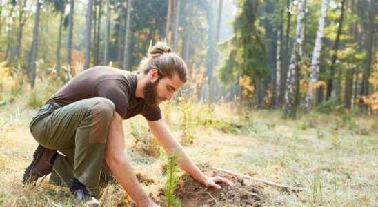 To live longer lets plant trees