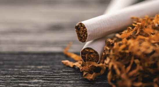 Tobacco prices new prices as of November 1 2022