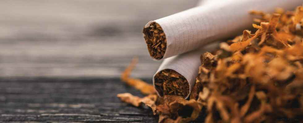 Tobacco prices new prices as of November 1 2022