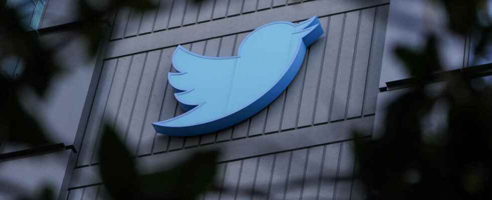 Twitter cuts its human rights office amid layoffs