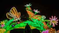 Video Giant illuminated insects took over the Paris Botanical Garden