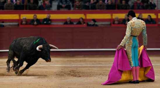 What is the impact of bullfighting on the mental health