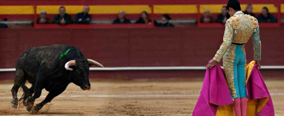 What is the impact of bullfighting on the mental health