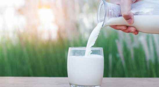 Which vegetable milks to choose for which benefits