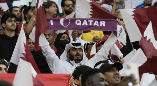 in Qatar disappointment measured after the elimination of the national