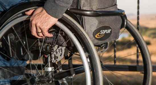 the employment of people with disabilities an effective lever in