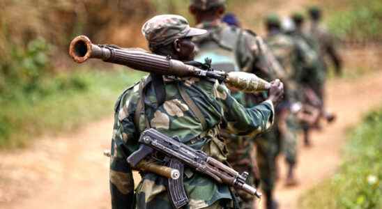 the regional force of the EAC is struggling to see