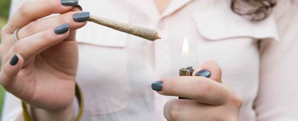 Alcohol tobacco cannabis declining consumption among French college students