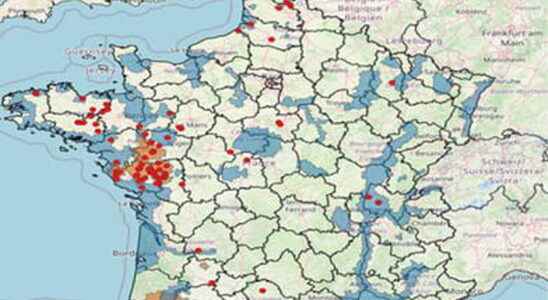 Avian flu 2022 map symptoms what risks