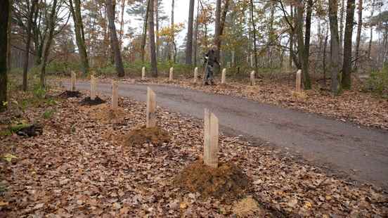 Busiest point Lage Vuursche tackled parking lot will be renovated