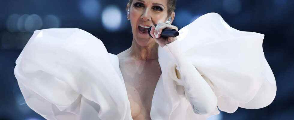 Celine Dion sick when will she return to the concert