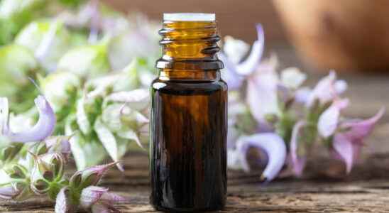 Clary sage essential oil benefits during menopause
