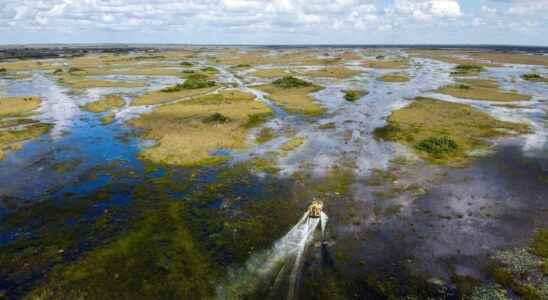 Climate change in Florida the most ambitious green project in