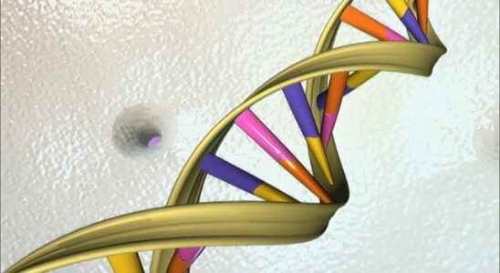 Detection of emerging diseases environmental DNA a miracle tool
