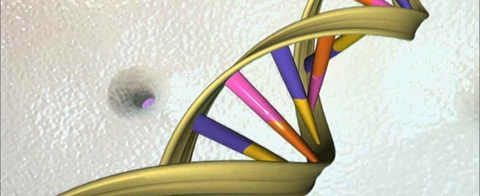 Detection of emerging diseases environmental DNA a miracle tool