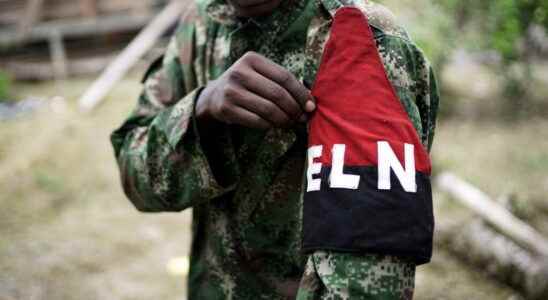 ELN guerrillas announce end of year truce