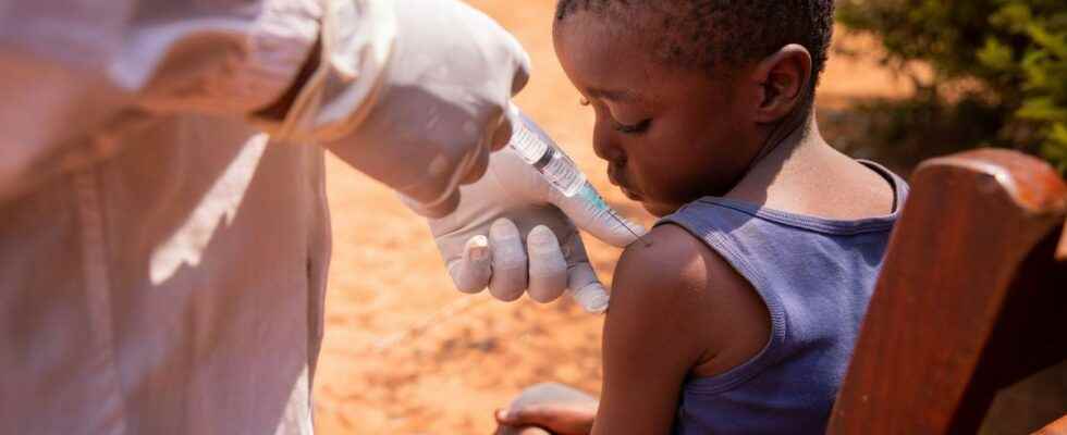 Ebola the new vaccine regimens tested obtain promising results
