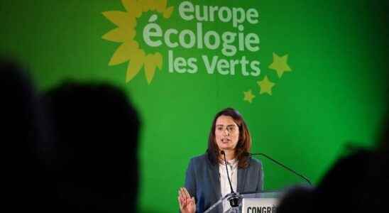 Elected at the head of Europe Ecology The Greens Marine Tondelier