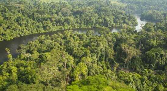 Financing the preservation of biodiversity in Africa a major challenge