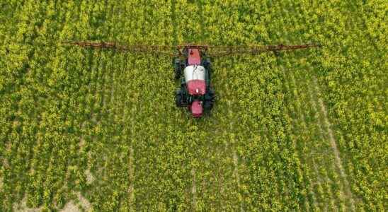 France has authorized the export of banned pesticides on its