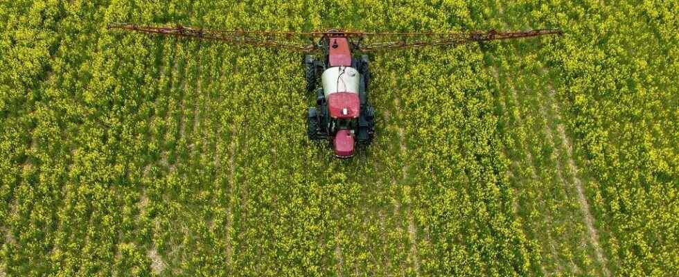 France has authorized the export of banned pesticides on its