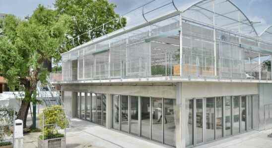 In Saint Denis a greenhouse to fight… against the greenhouse effect