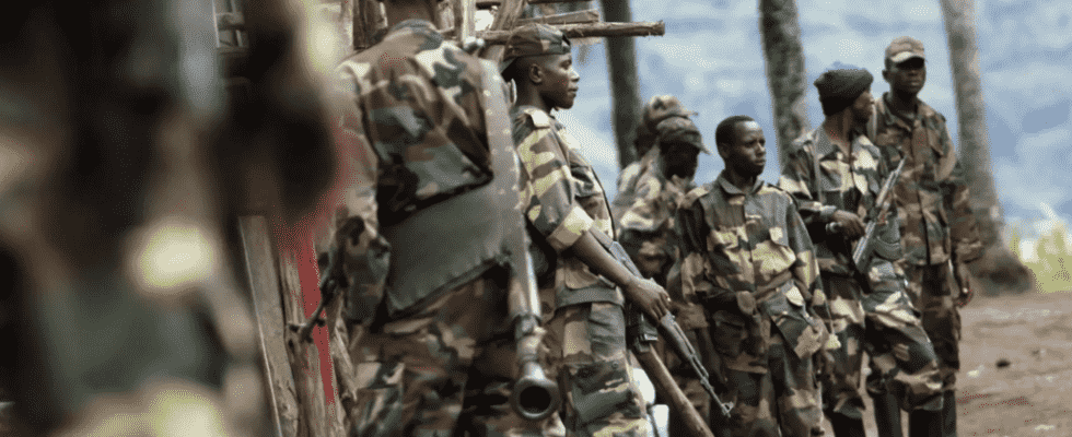In Washington Antony Blinken challenges Rwanda about the M23