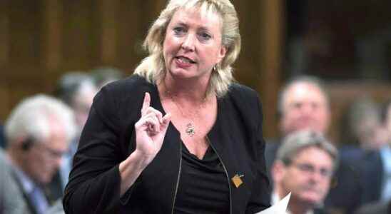 It was a tough year for Canadians says Sarnia Lambton MP