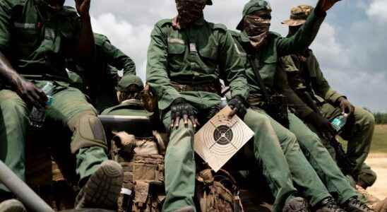 Ivorian soldiers convicted in Mali