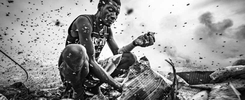 Joao Coelho our winner of the Worlds Largest Photo Contest