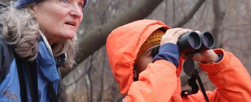 Kids Christmas Bird Count exceeds expectations