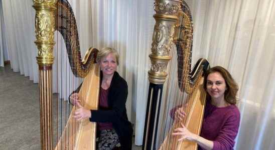 Love at first hearing harpist duo in love with the