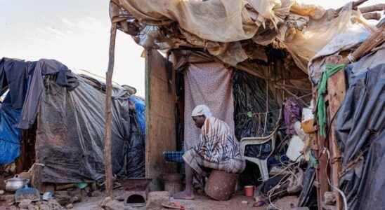 Mali NGOs fear general paralysis due to extreme controls