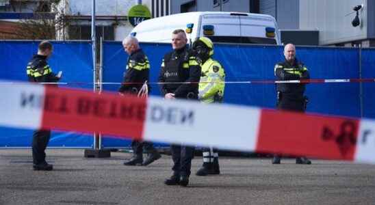 Murdered brother Utrecht crown witness not secured despite requests